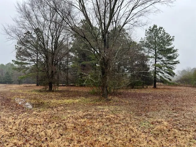 $598,600 | 3121 Clarksville Tx 75426, Clarksville, TX 75426