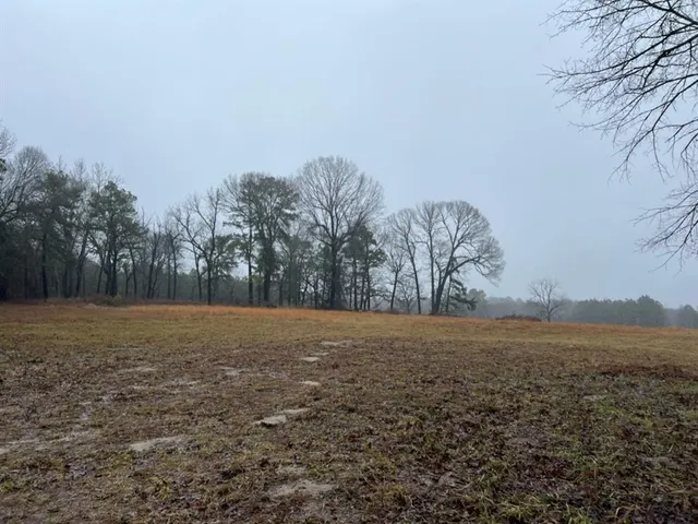 $598,600 | 3121 Clarksville Tx 75426, Clarksville, TX 75426