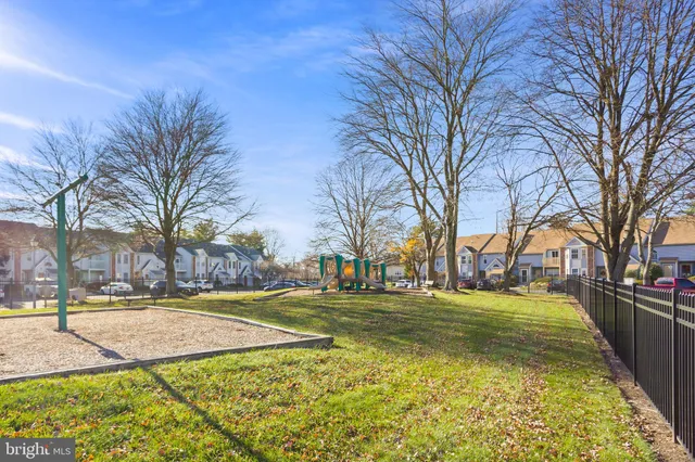 a view of a park with large trees