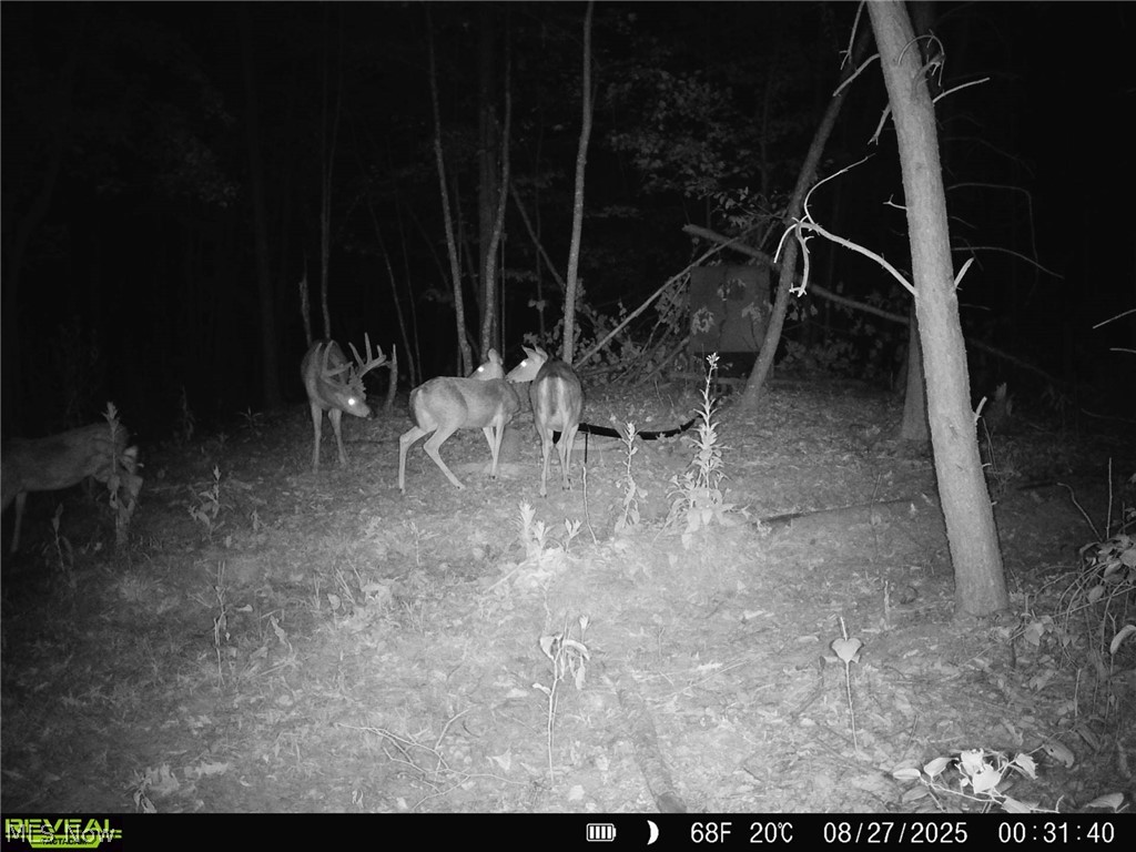 Hill Road Portsmouth, OH 45662 - Photo 32 of 47