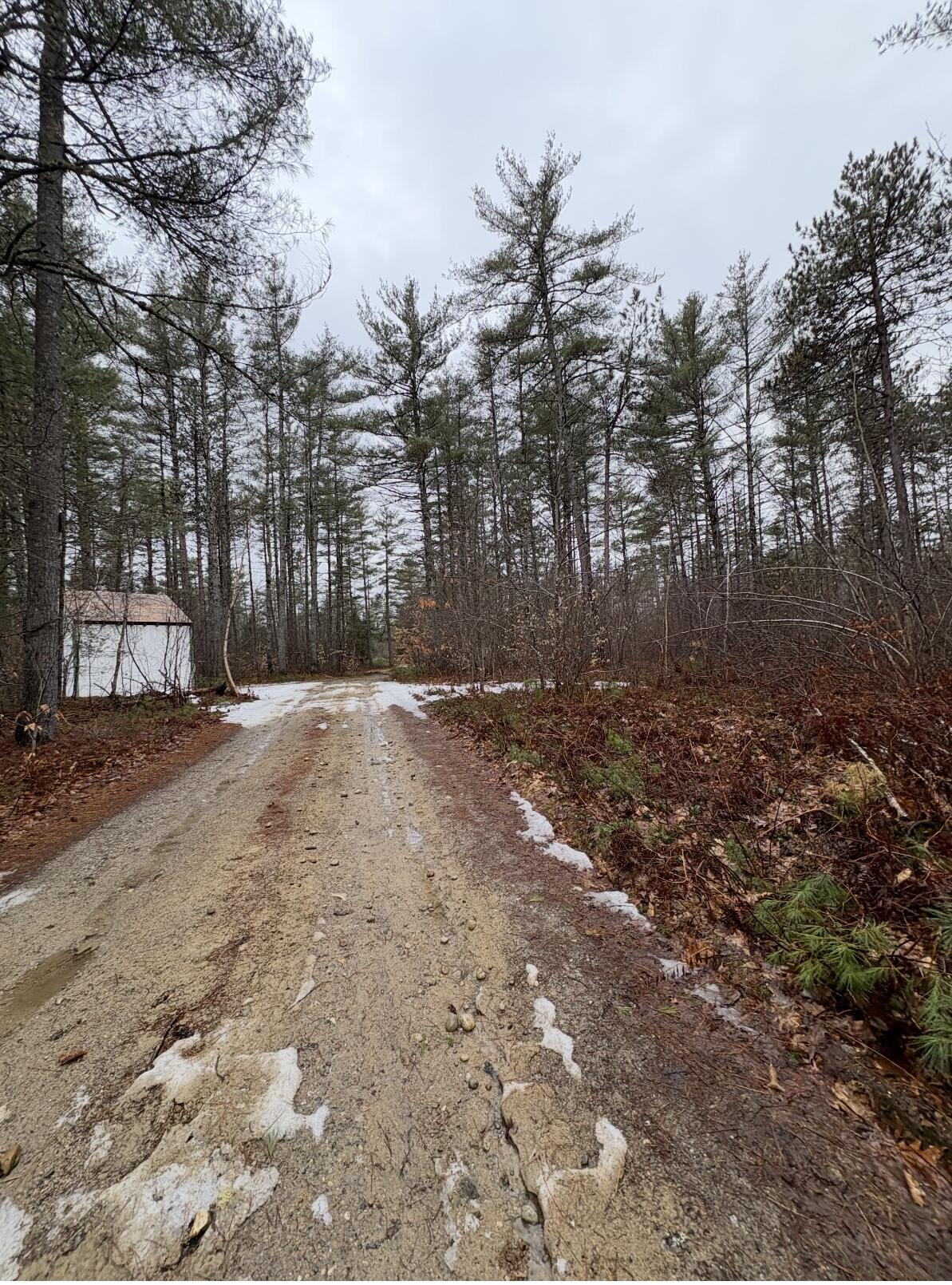 189 Hunts Corner Road Waterford, ME 04088 - Photo 16 of 19 IMG_4390