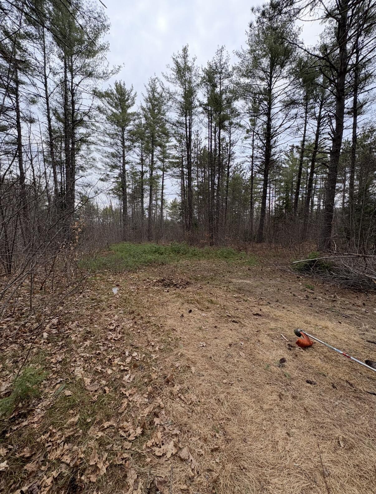 189 Hunts Corner Road Waterford, ME 04088 - Photo 18 of 19 IMG_4392