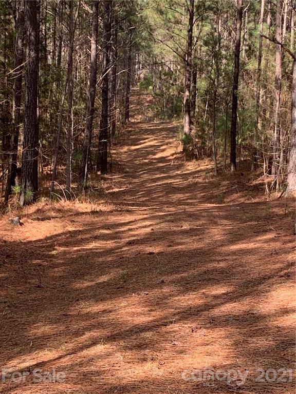 8 Old Columbia Road, Unit A Chester, SC 29706 - Photo 2 of 21 a view of road with trees