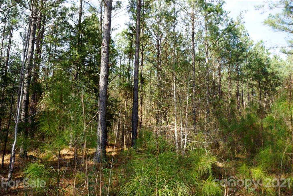 8 Old Columbia Road, Unit A Chester, SC 29706 - Photo 13 of 21