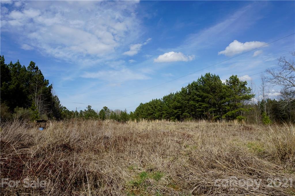 8 Old Columbia Road, Unit A Chester, SC 29706 - Photo 15 of 21 a view of a yard in a field