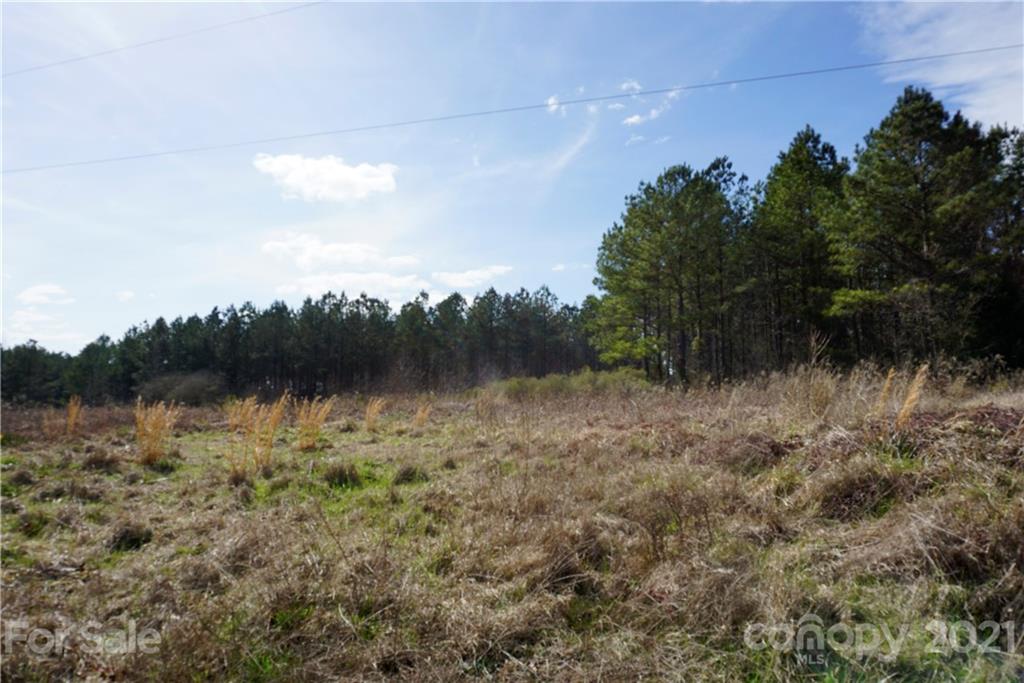 8 Old Columbia Road, Unit A Chester, SC 29706 - Photo 17 of 21 a view of a lake with trees in the background