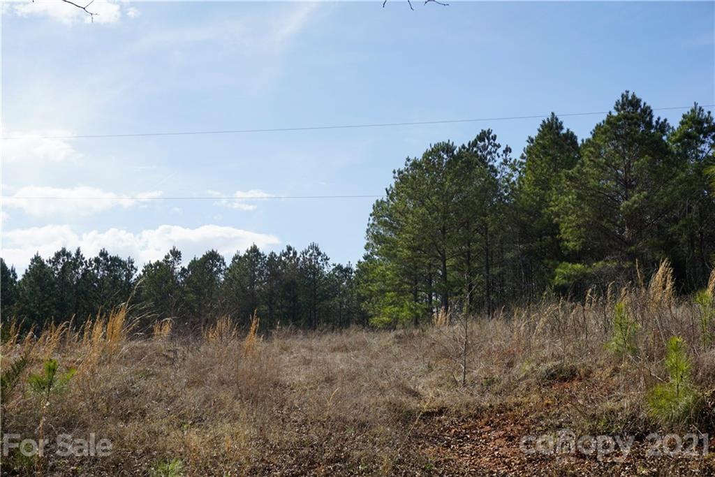 8 Old Columbia Road, Unit A Chester, SC 29706 - Photo 18 of 21 a view of a field of grass and trees