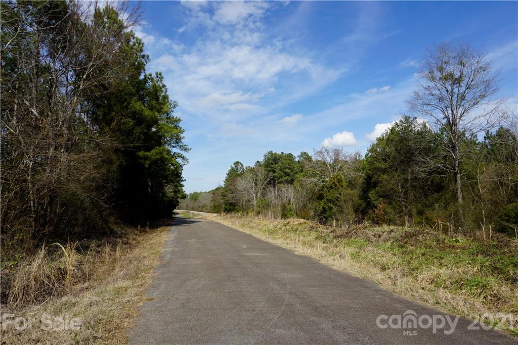8 Old Columbia Road, Unit A Chester, SC 29706 - Photo 19 of 21 a view of a pathway with a tree