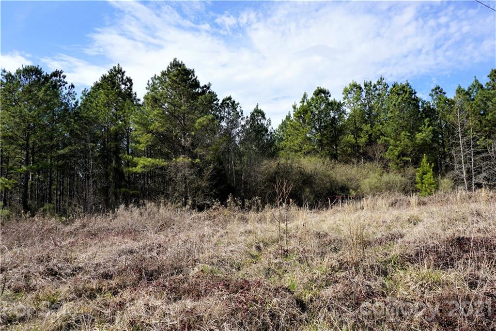 8 Old Columbia Road, Unit A Chester, SC 29706 - Photo 20 of 21 a view of a lush green forest