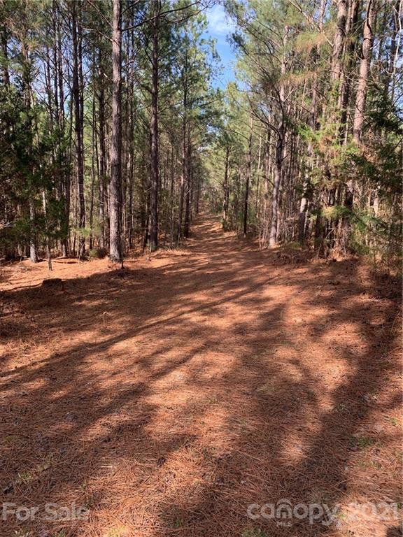 8 Old Columbia Road, Unit A Chester, SC 29706 - Photo 5 of 21 a view of road with trees
