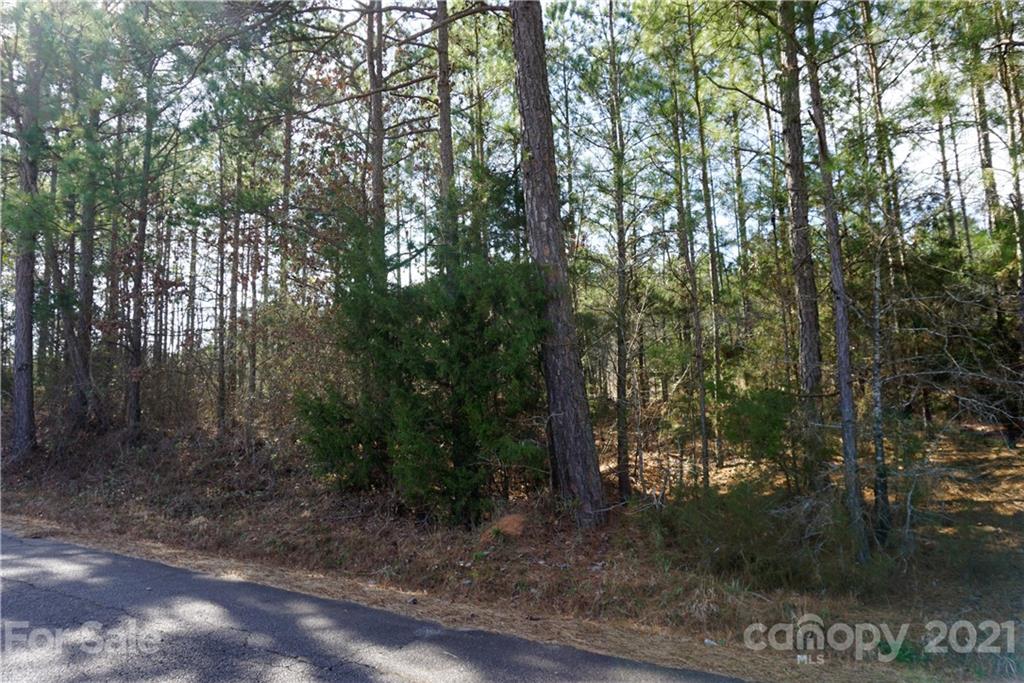 8 Old Columbia Road, Unit A Chester, SC 29706 - Photo 7 of 21 a view of a forest with trees in front of it
