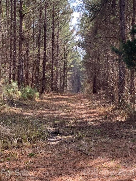 8 Old Columbia Road, Unit A Chester, SC 29706 - Photo 9 of 21 a fire hydrant in the middle of a field