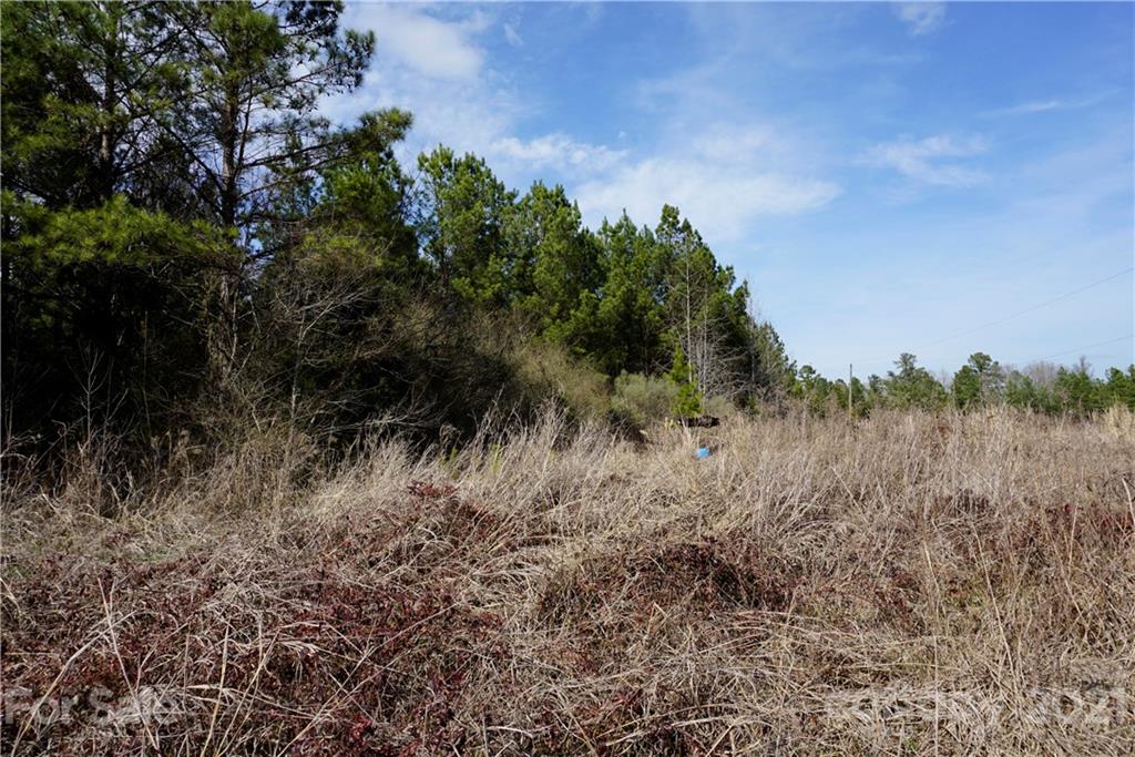 8 Old Columbia Road, Unit A Chester, SC 29706 - Photo 10 of 21 a view of a bunch of trees and bushes