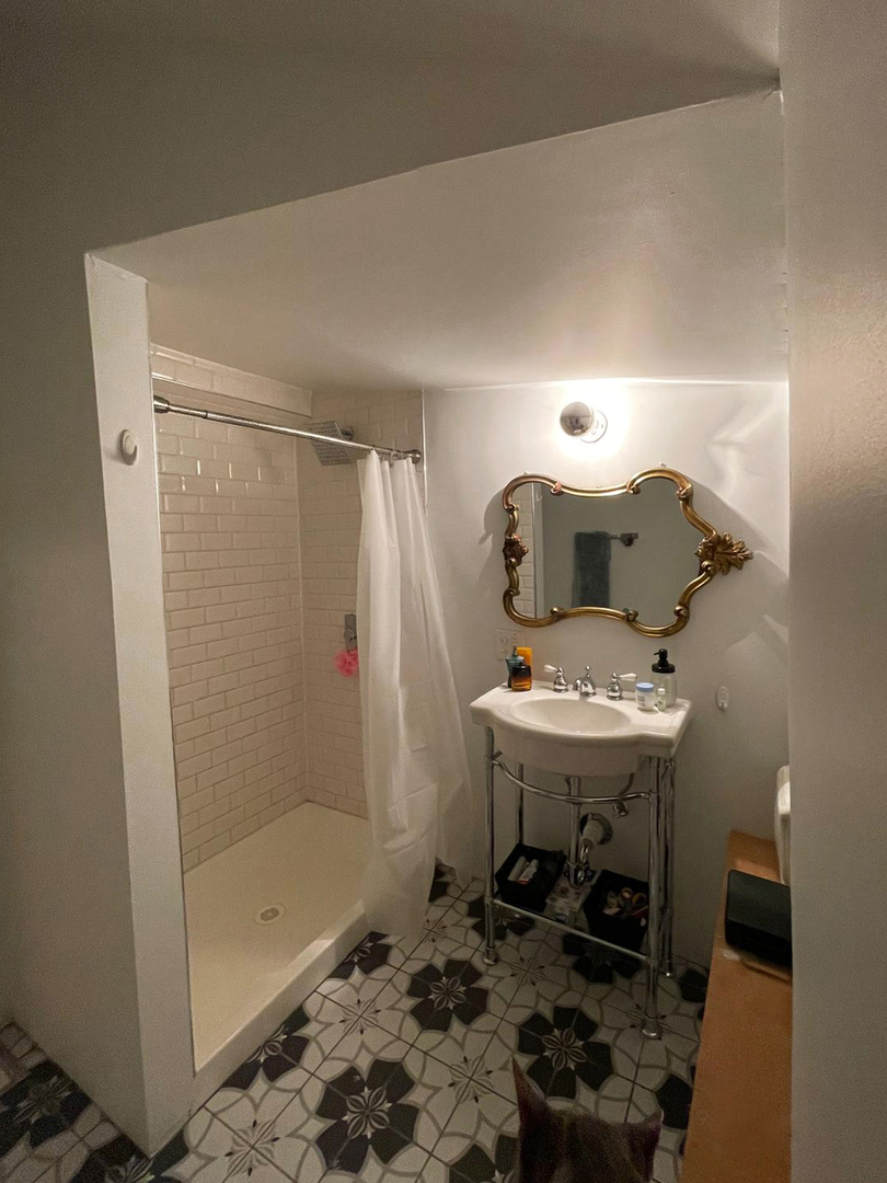 1831 South Laflin Street, Unit 2 Chicago, IL 60608 - Photo 6 of 9