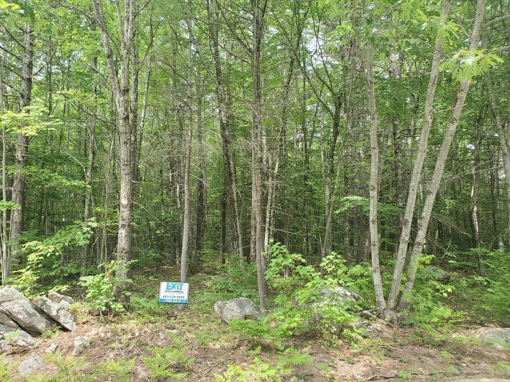 0 Bryant Mill Road Tamworth, NH 03886 - Photo 2 of 3 Gallery Image 2