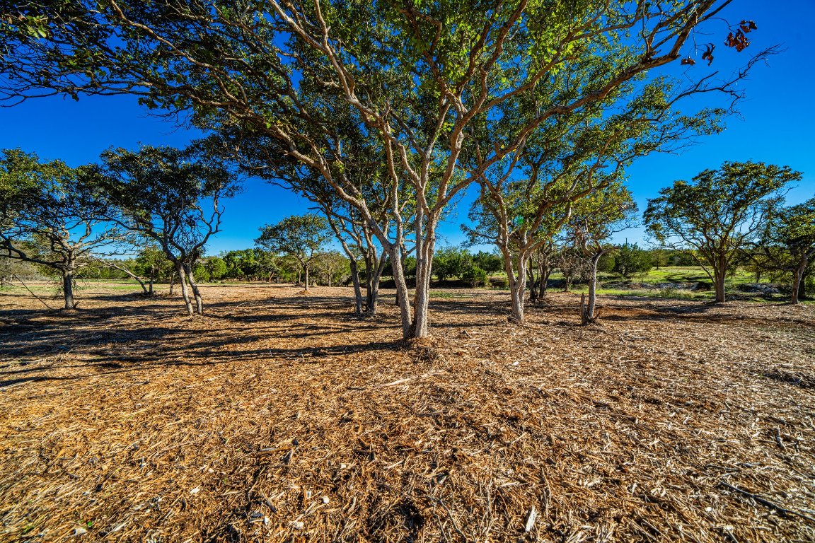 0 F-m 2843 Salado, TX 76571 - Photo 13 of 17 a view of road with trees