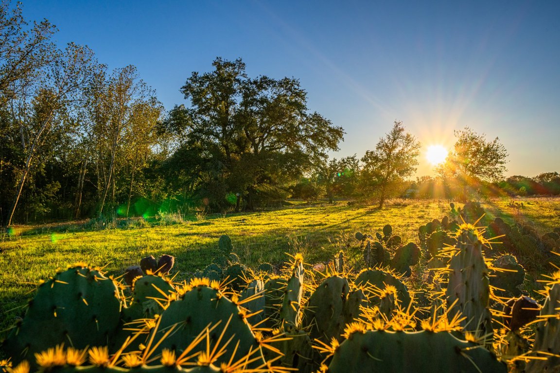 0 F-m 2843 Salado, TX 76571 - Photo 17 of 17 a view of a yard with an outdoor space