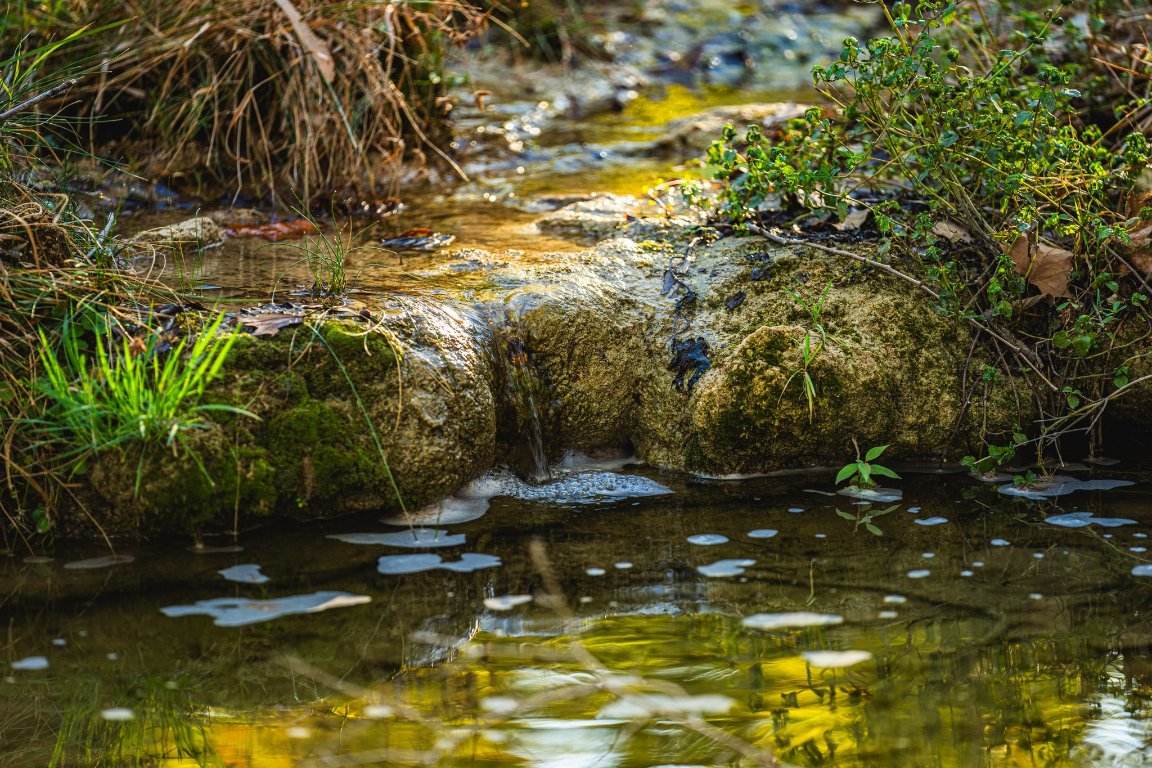 0 F-m 2843 Salado, TX 76571 - Photo 3 of 17 a view of a lake view