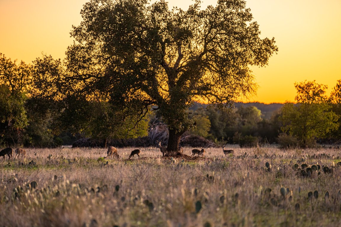 0 F-m 2843 Salado, TX 76571 - Photo 4 of 17 a view of outdoor space