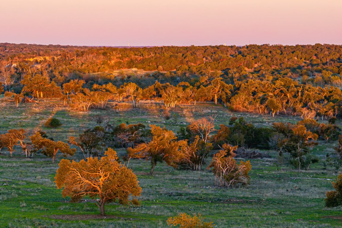 0 F-m 2843 Salado, TX 76571 - Photo 6 of 17