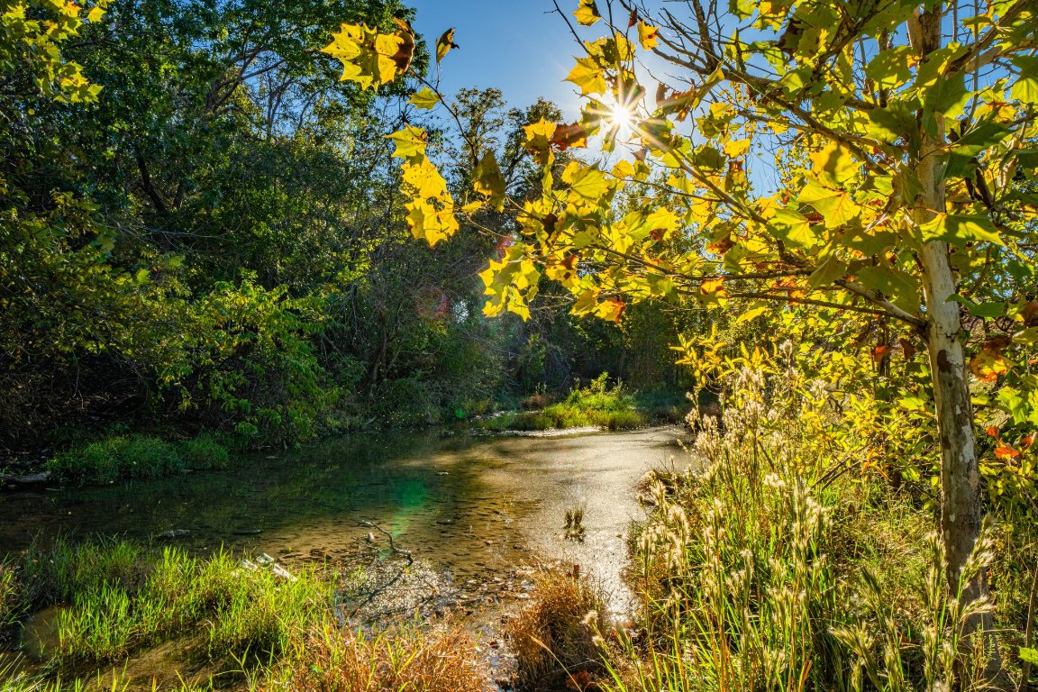 0 F-m 2843 Salado, TX 76571 - Photo 9 of 17 a view of a lake with a tree