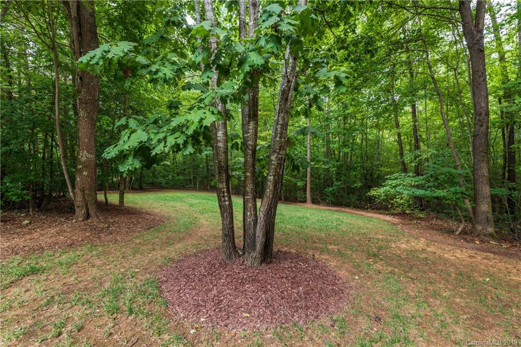 8994 Azalea Road Sherrills Ford, NC 28673 - Photo 30 of 40