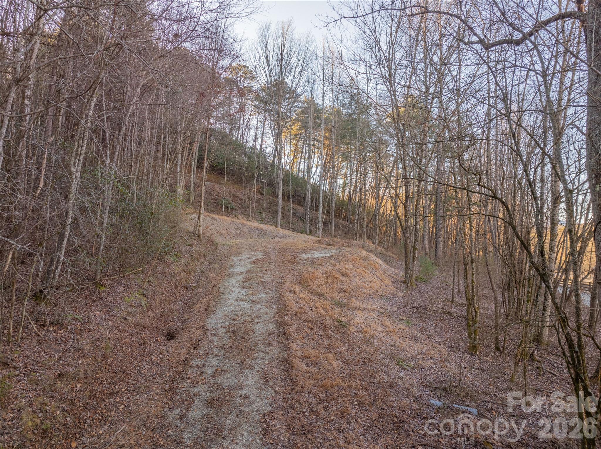 Lot 1 Mccracken Road Bryson City, NC 28713 - Photo 2 of 16