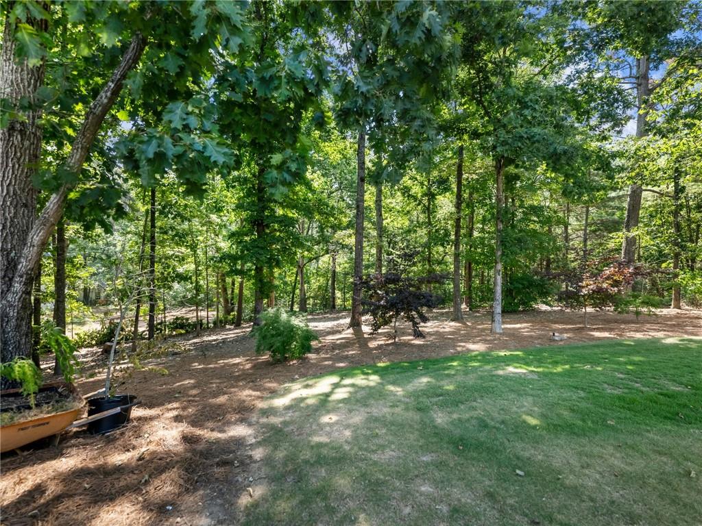 3965 Hamilton View Way Northeast Dacula, GA 30019 - Photo 78 of 79
