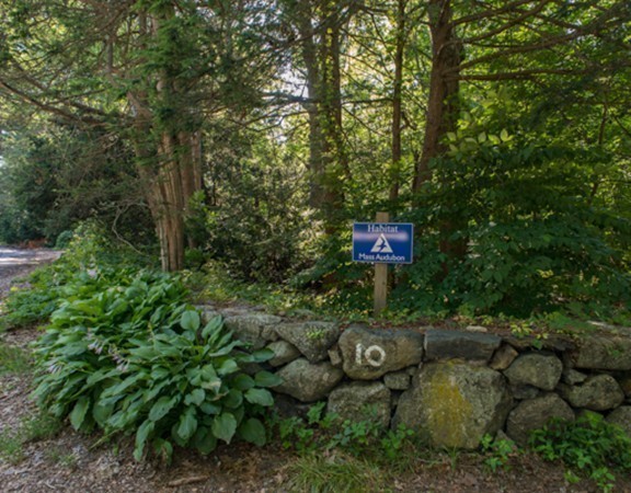 44 Juniper Road Belmont, MA 02478 - Photo 13 of 15 Gallery Image 13