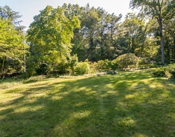 44 Juniper Road Belmont, MA 02478 - Photo 6 of 15 Gallery Image 6