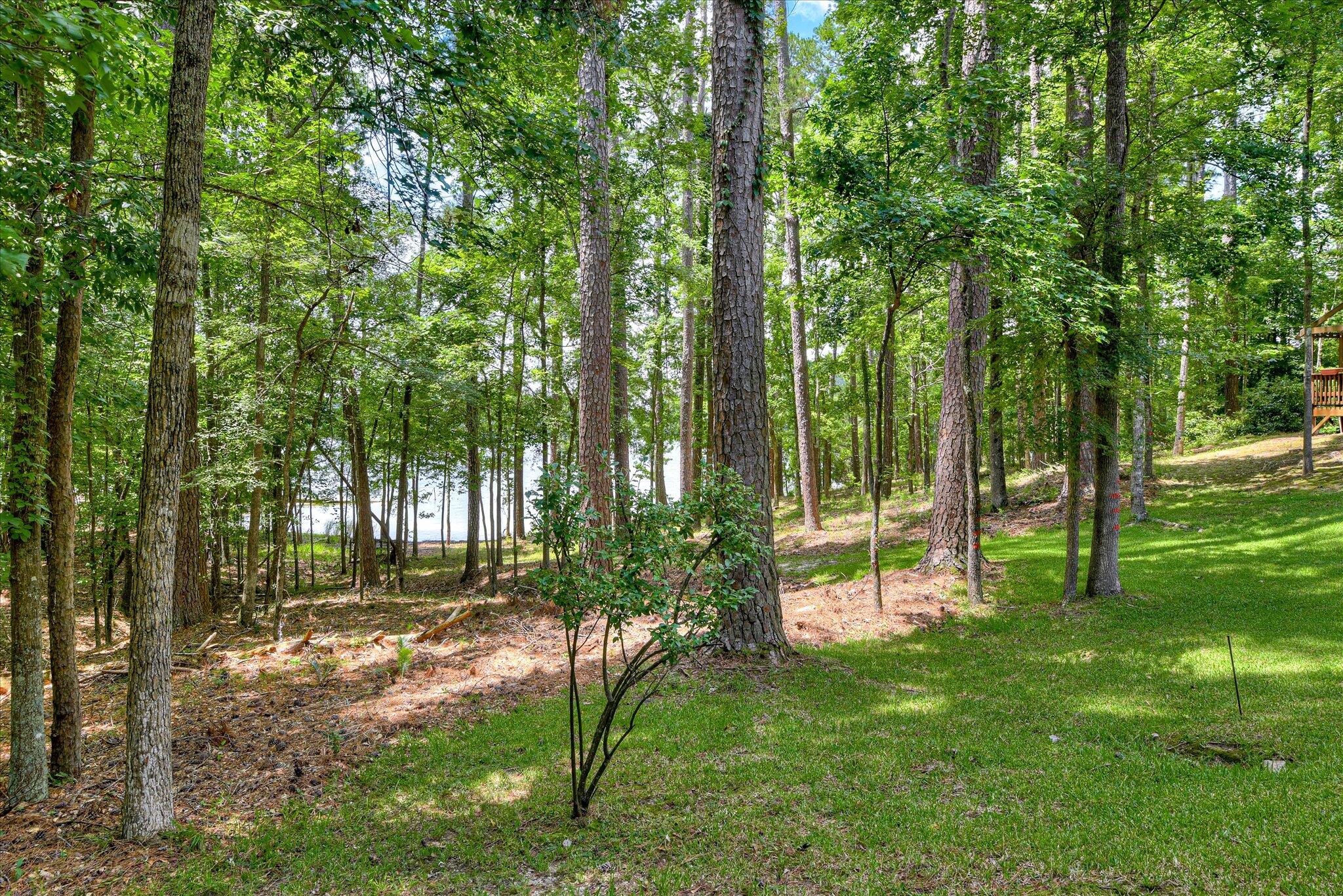 204 Chickadee Court McCormick, SC 29835 - Photo 51 of 71 63-162