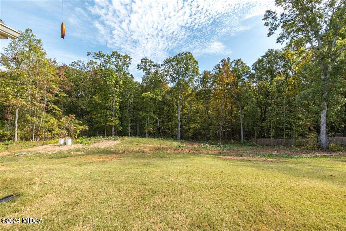 155 Carters Way Forsyth, GA 31029 - Photo 27 of 28 a view of a swimming pool with a yard and large trees