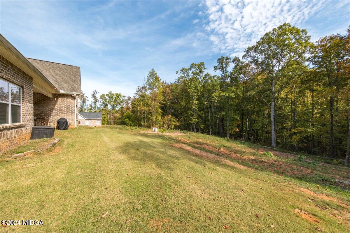155 Carters Way Forsyth, GA 31029 - Photo 28 of 28 a view of back yard of the house