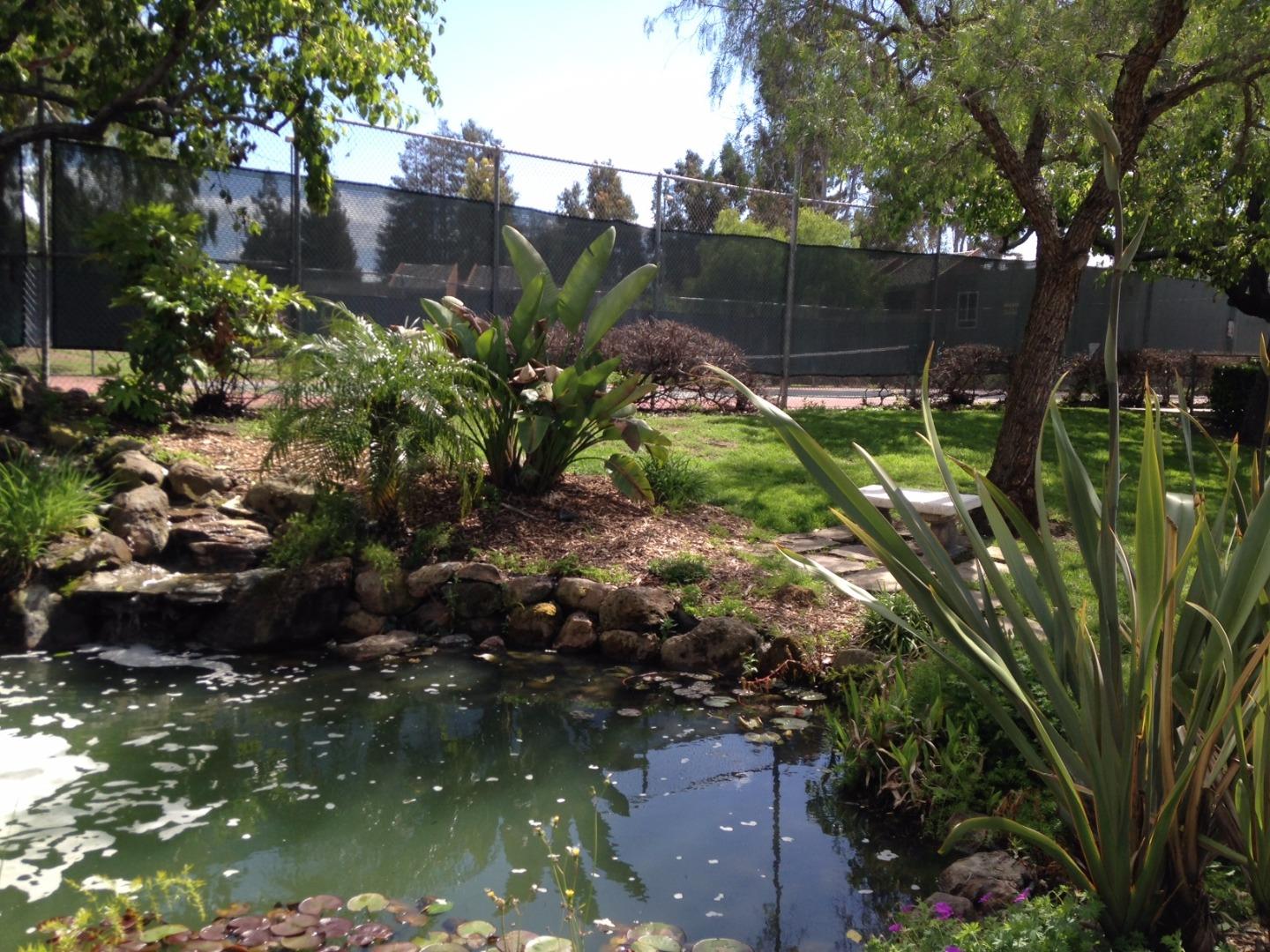 464 Dempsey Road, Unit 265 Milpitas, CA 95035 - Photo 10 of 15 a backyard of a house with lots of green space