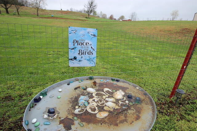 155 Eugene Harness Road Science Hill, KY 42553 - Photo 64 of 101 IMG_5631