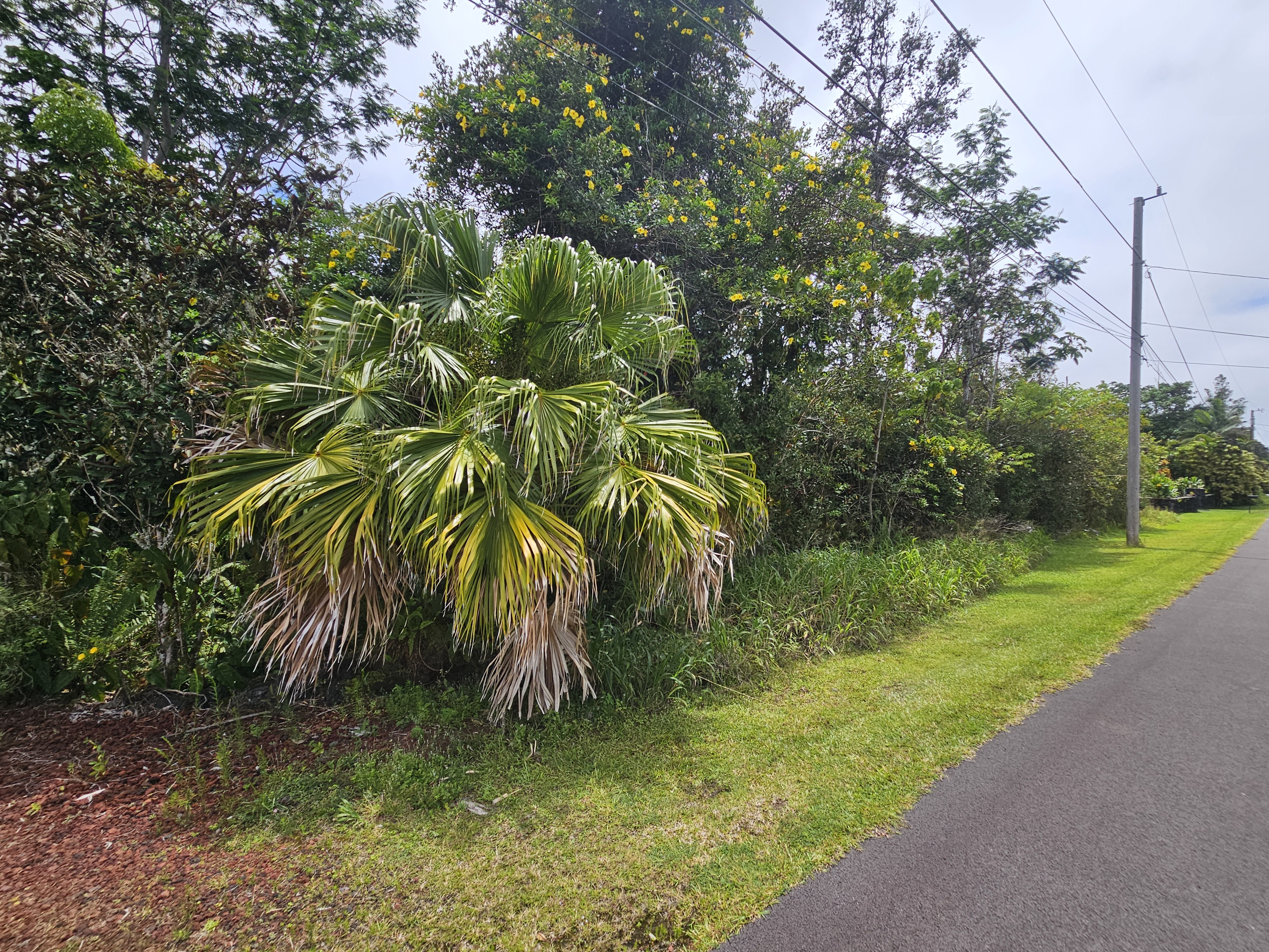 504 Ina Street Pahoa, HI 96778 - Photo 10 of 13