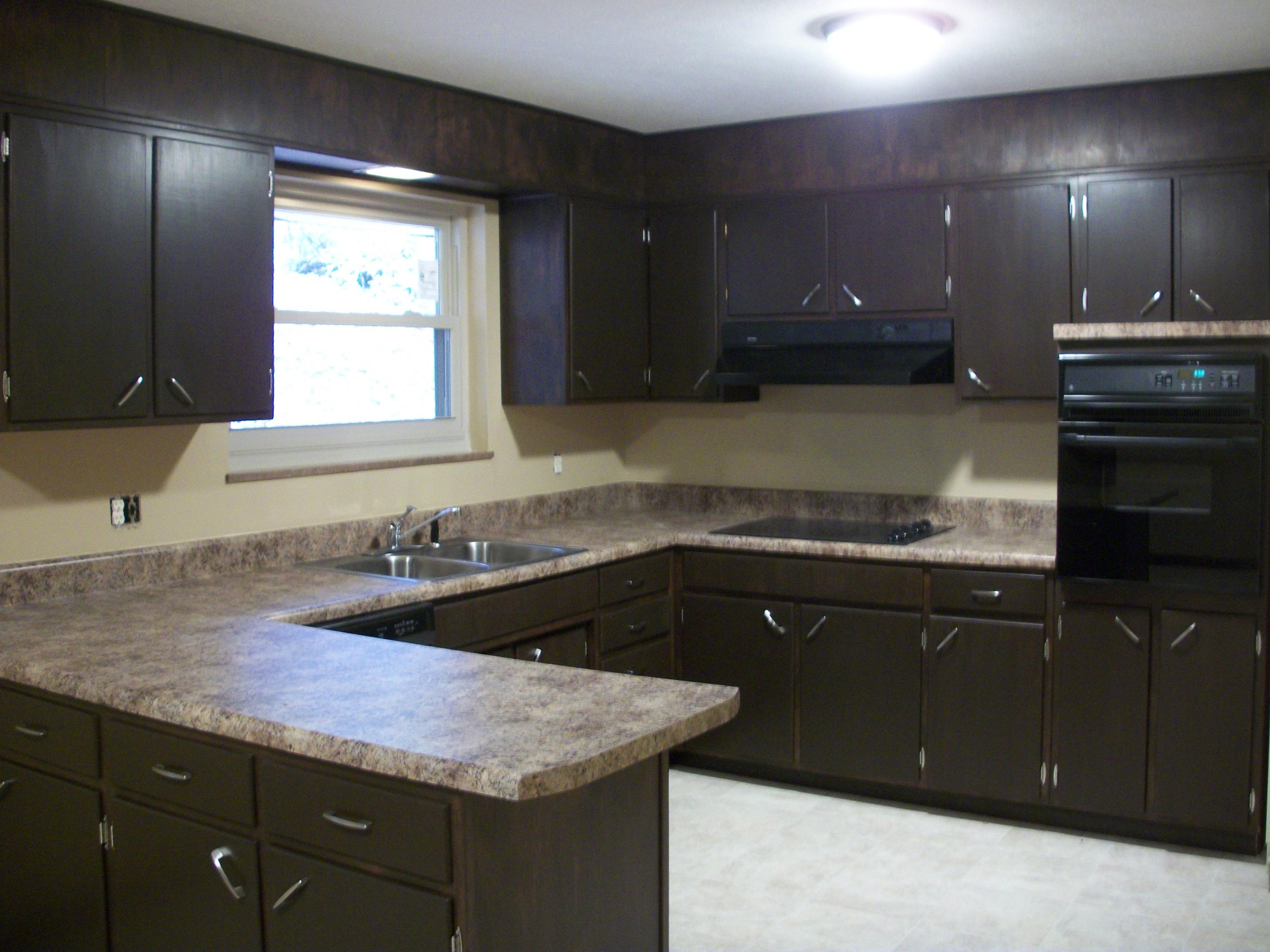 123 Maple Tree Lane Powell, TN 37849 - Photo 3 of 11 kitchen