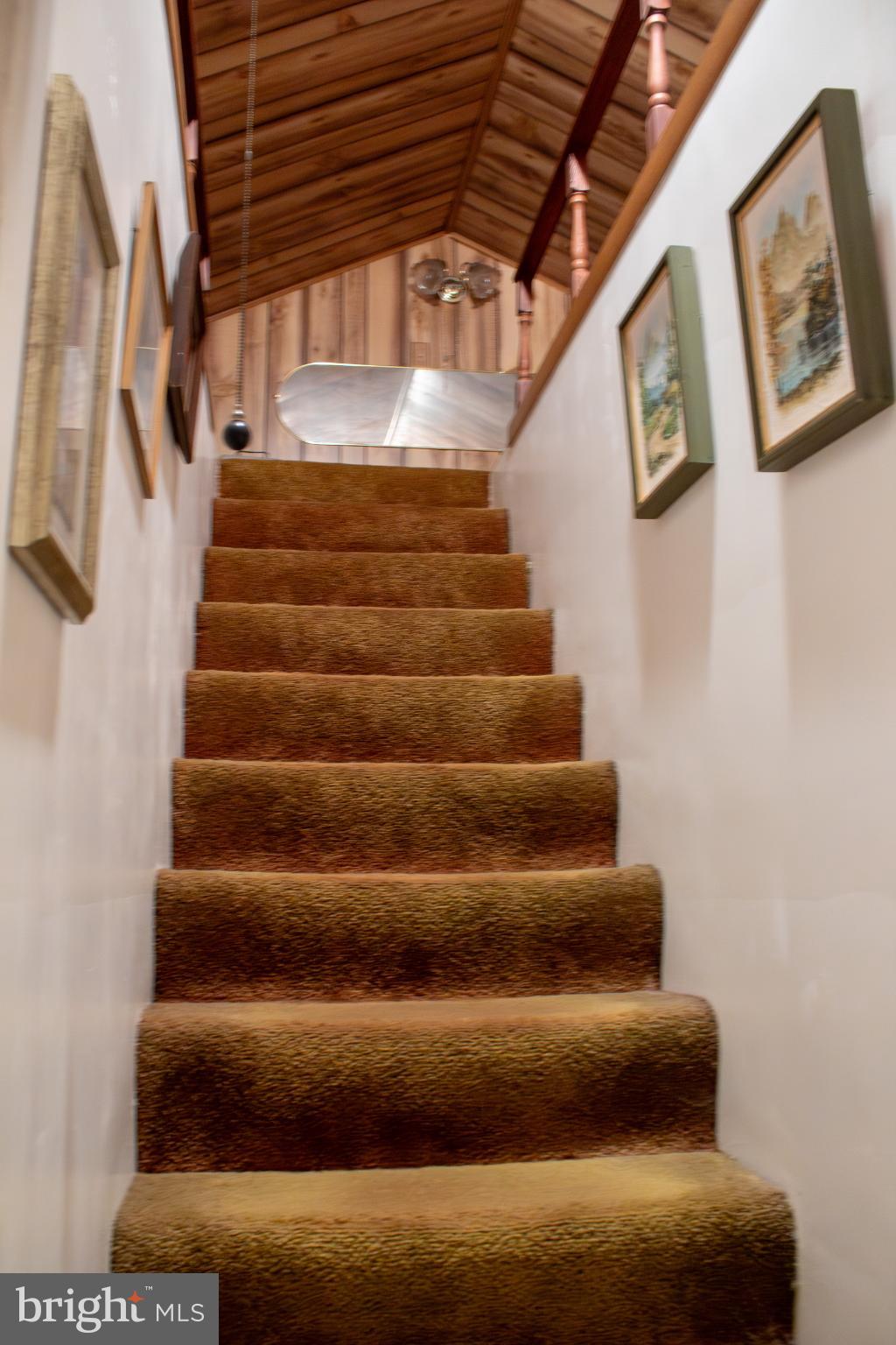 526 South Carlin Springs Road Arlington, VA 22204 - Photo 20 of 33