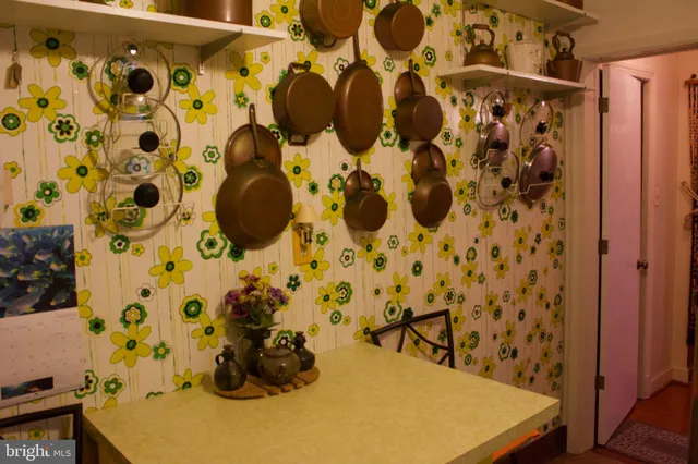 a view of a potted plant sitting in front of a house