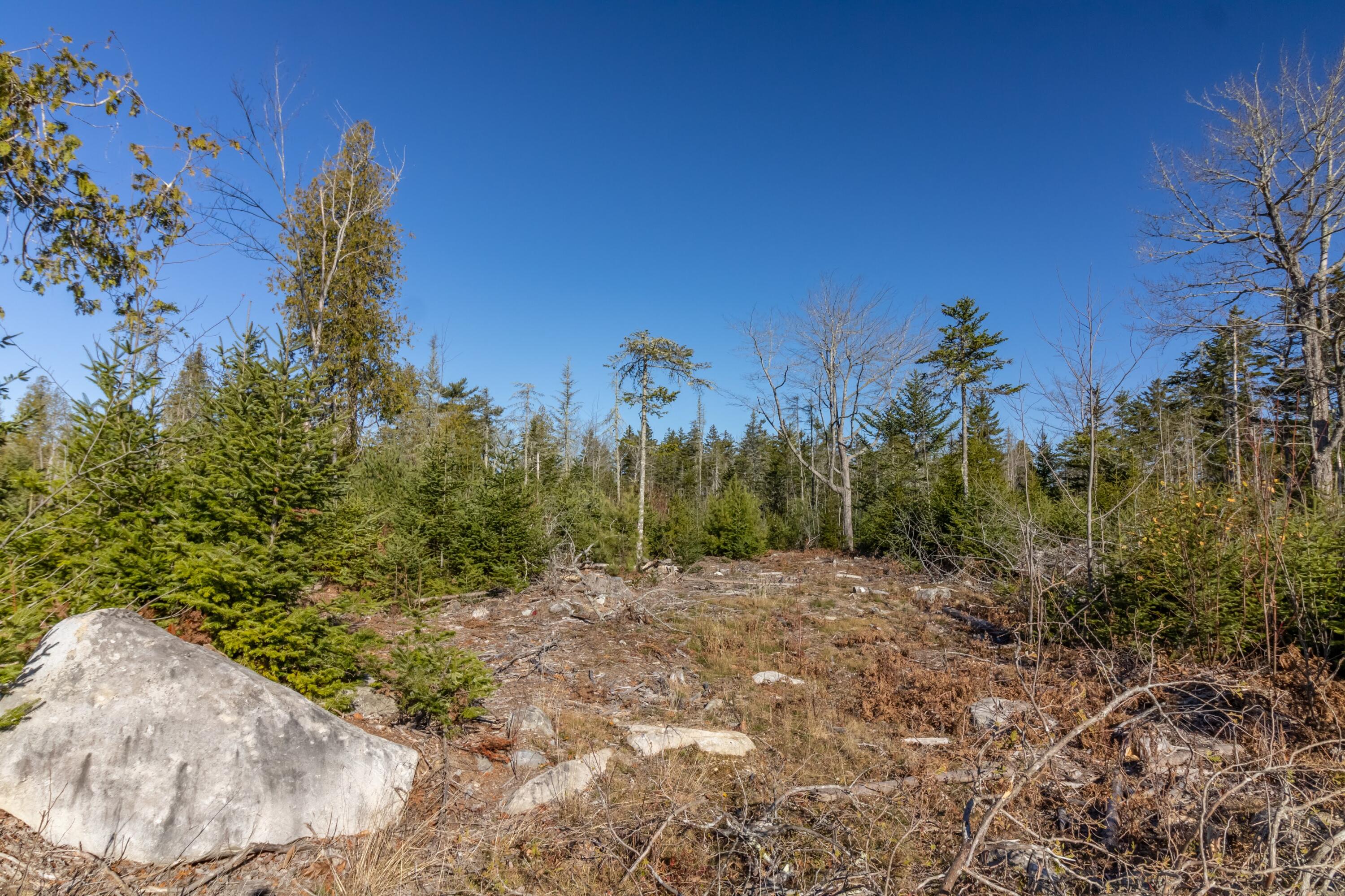 29-52a Ellsworth Road Blue Hill, ME 04614 - Photo 10 of 12 50 Acres