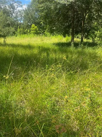a view of yard with green space and bench