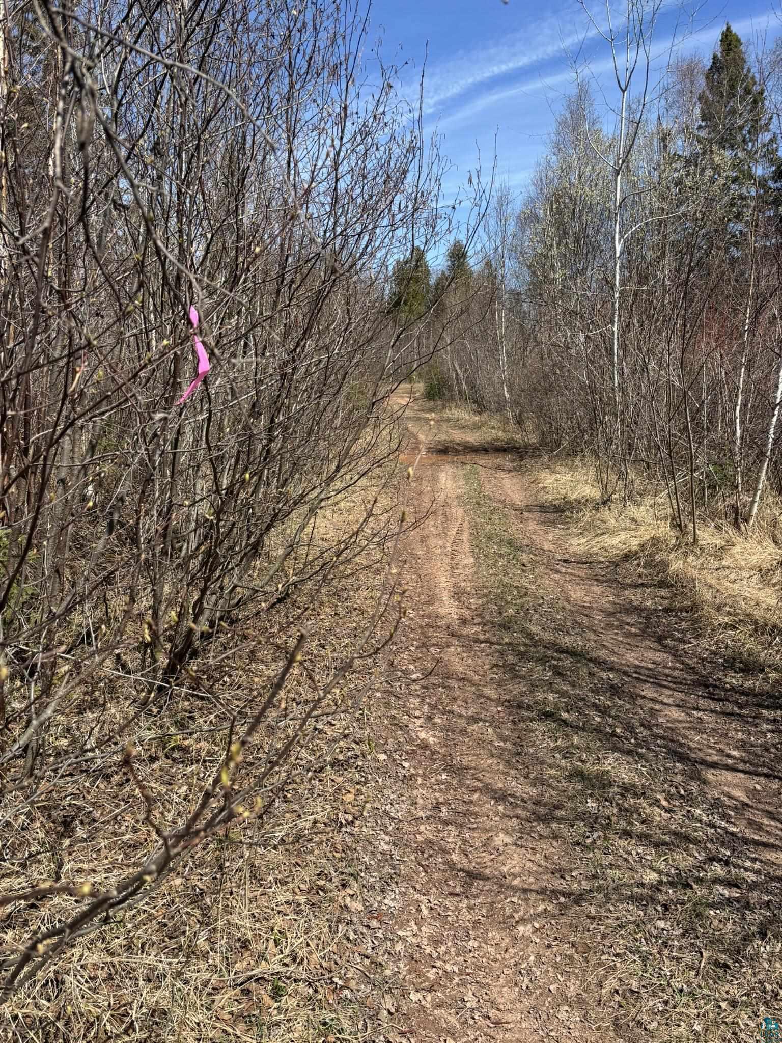 Two Blueberry Hill Road Two Harbors, MN 55616 - Photo 36 of 42