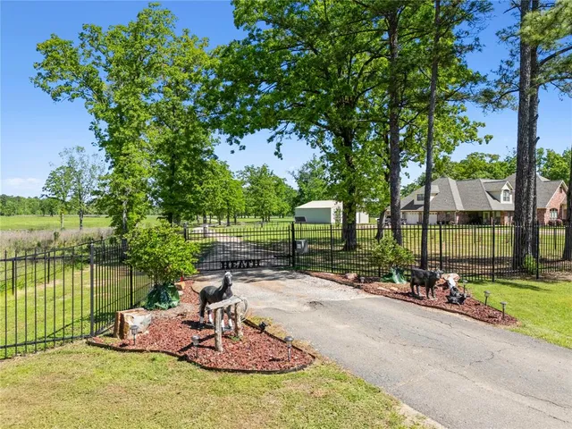 a backyard of a house with table and chairs potted plants and large tree
