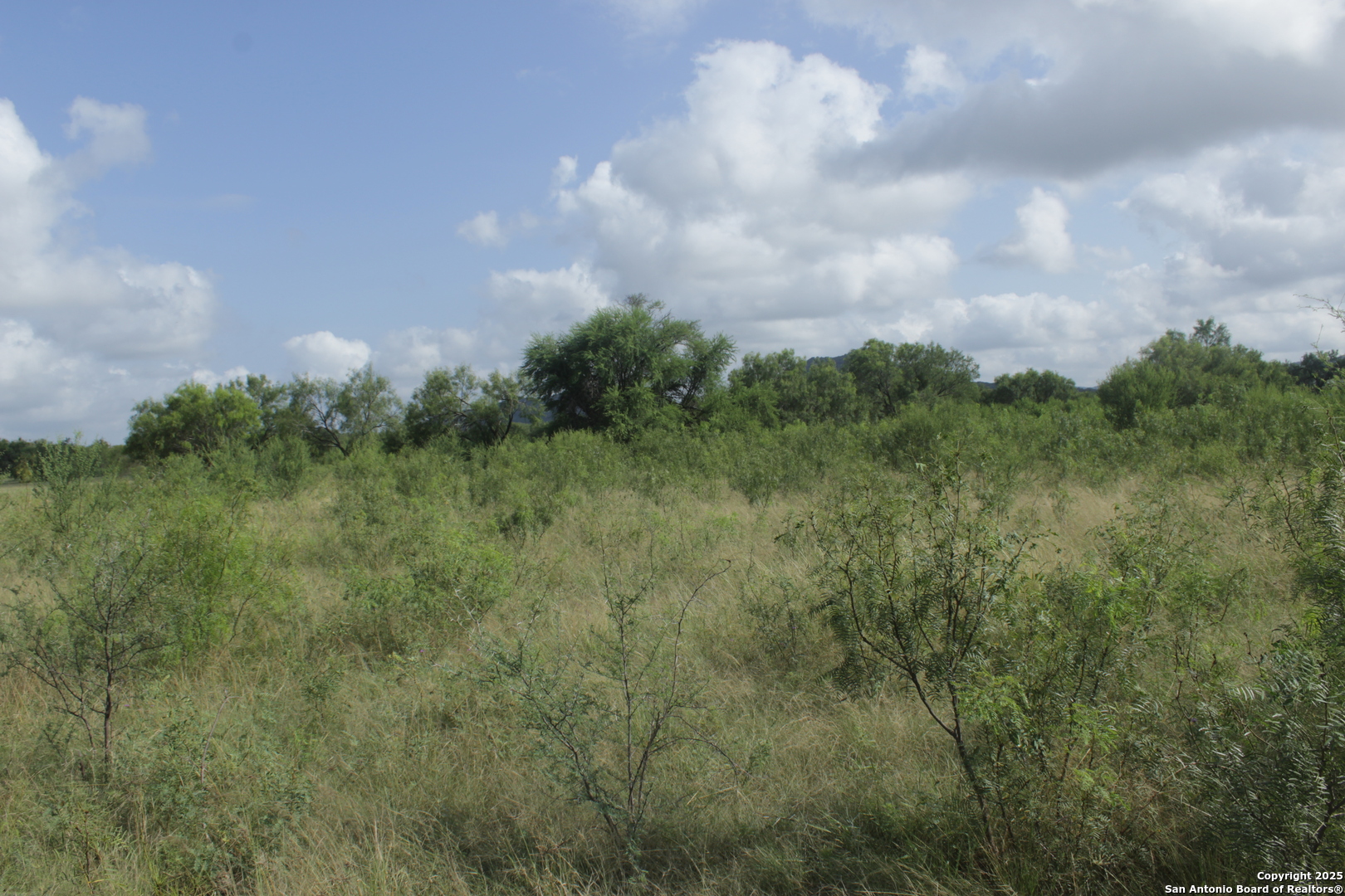 79 Ridge Loop Rio Frio, TX 78879 - Photo 2 of 11 a view of a green field