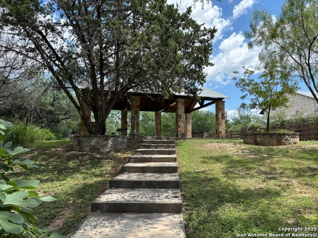 79 Ridge Loop Rio Frio, TX 78879 - Photo 5 of 11 a view of a yard with plants and a large tree