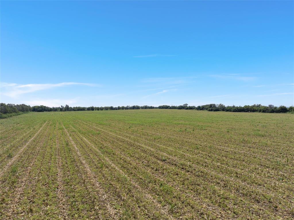 902 Mattlage Road Crawford, TX 76638 - Photo 5 of 32 View of yard with a rural view and agricultural area