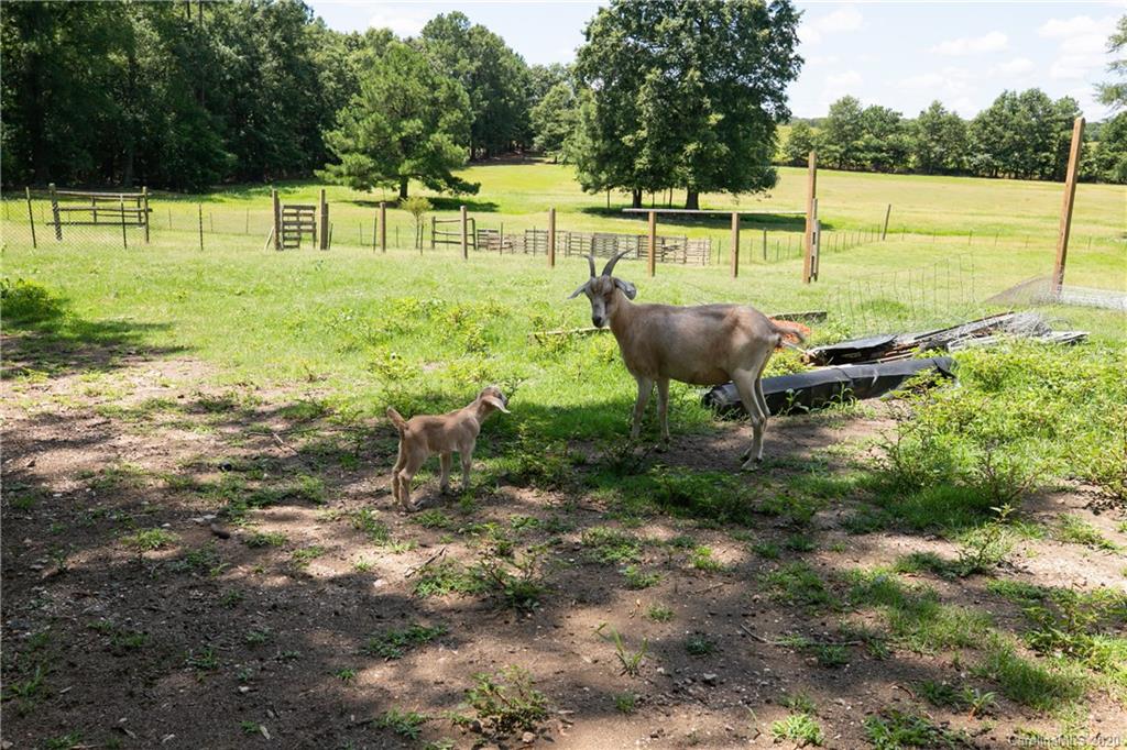 4312 Jenkins Road Marshville, NC 28103 - Photo 30 of 32 Gallery Image 30