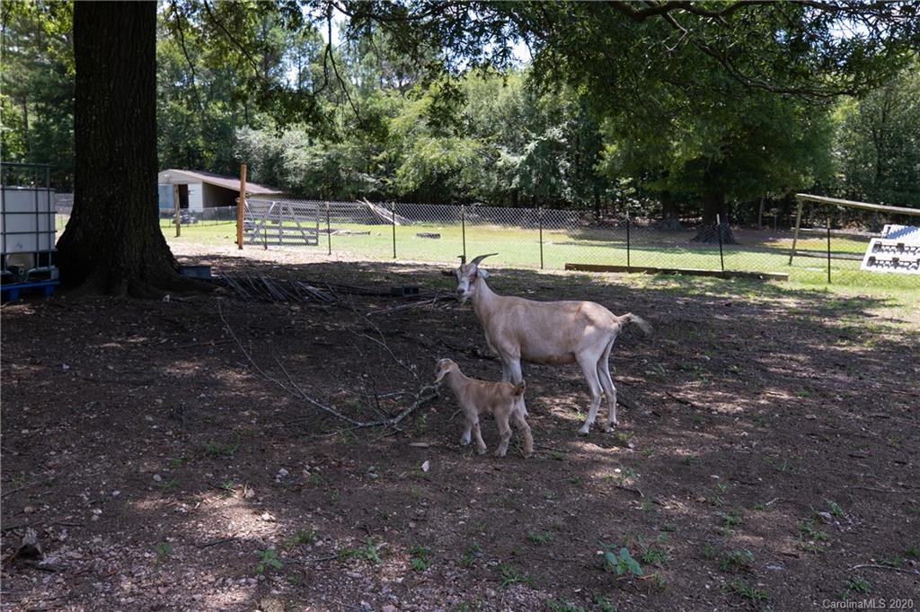 4312 Jenkins Road Marshville, NC 28103 - Photo 31 of 32 Gallery Image 31