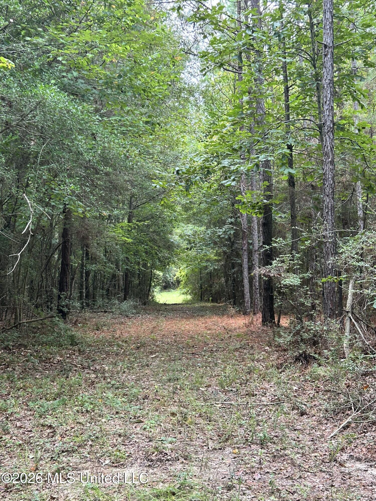 Jayess Road Jayess, MS 39641 - Photo 22 of 65 IMG_9759