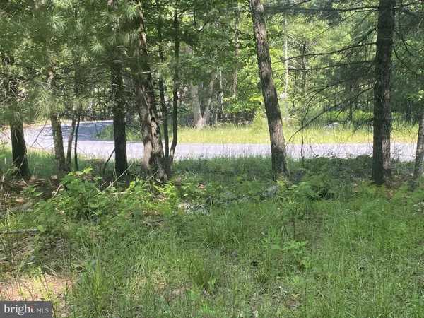 a view of swimming pool from a garden